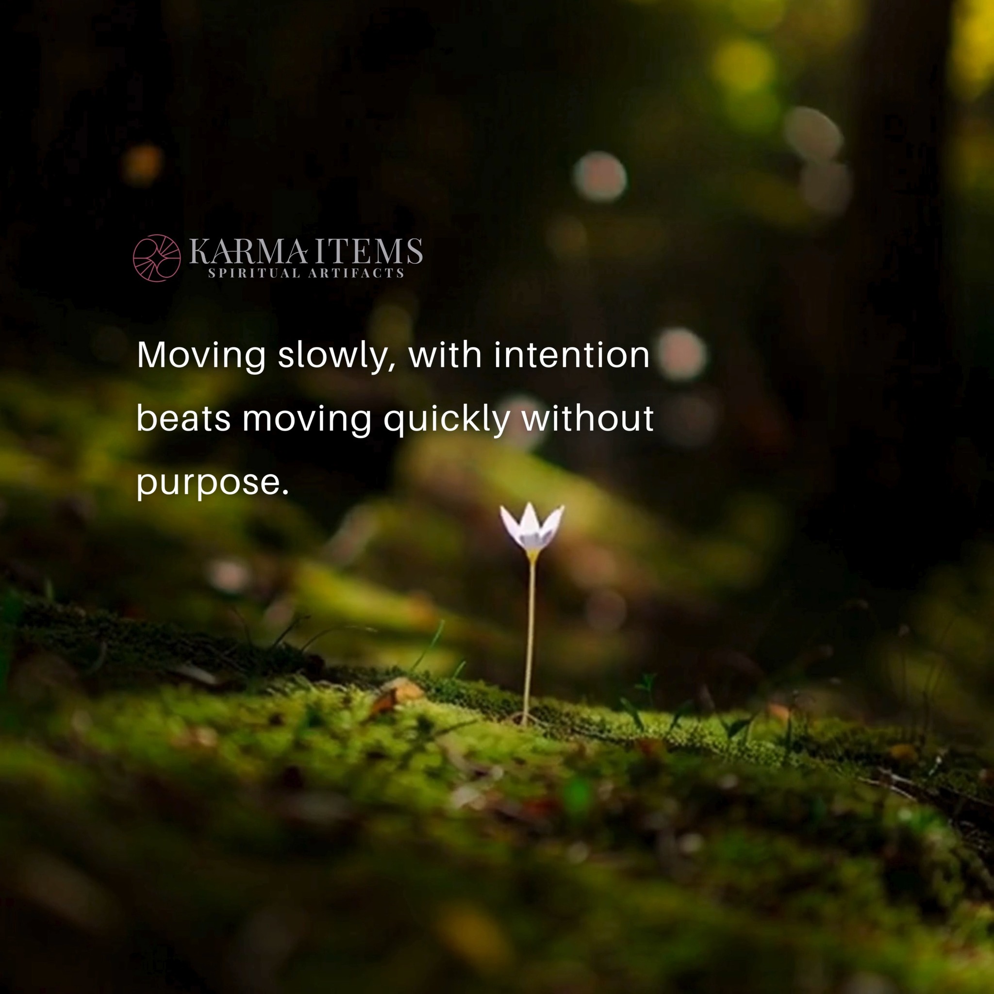 Ever feel like life is rushing you forward before you’re even ready? 🌿 ...