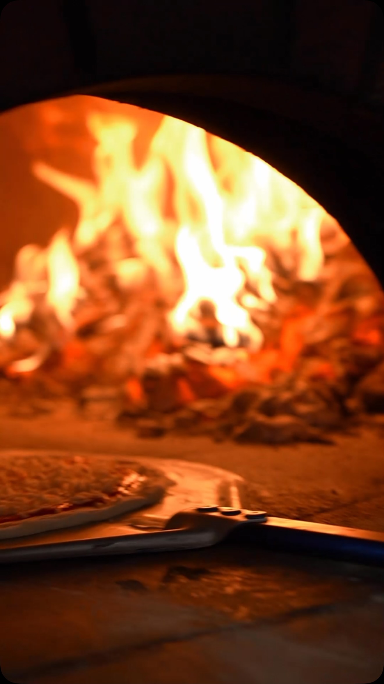 900 WoodFired Pizza at Wiregrass | Wesley Chapel FL