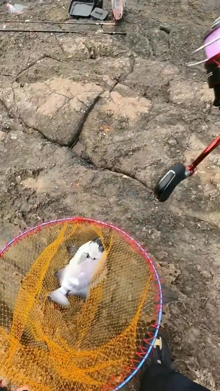 努力不是万能的，我每次努力钓鱼却总是打龟#钓鱼的乐趣只有钓鱼人懂 | Liumang蛙 | Facebook
