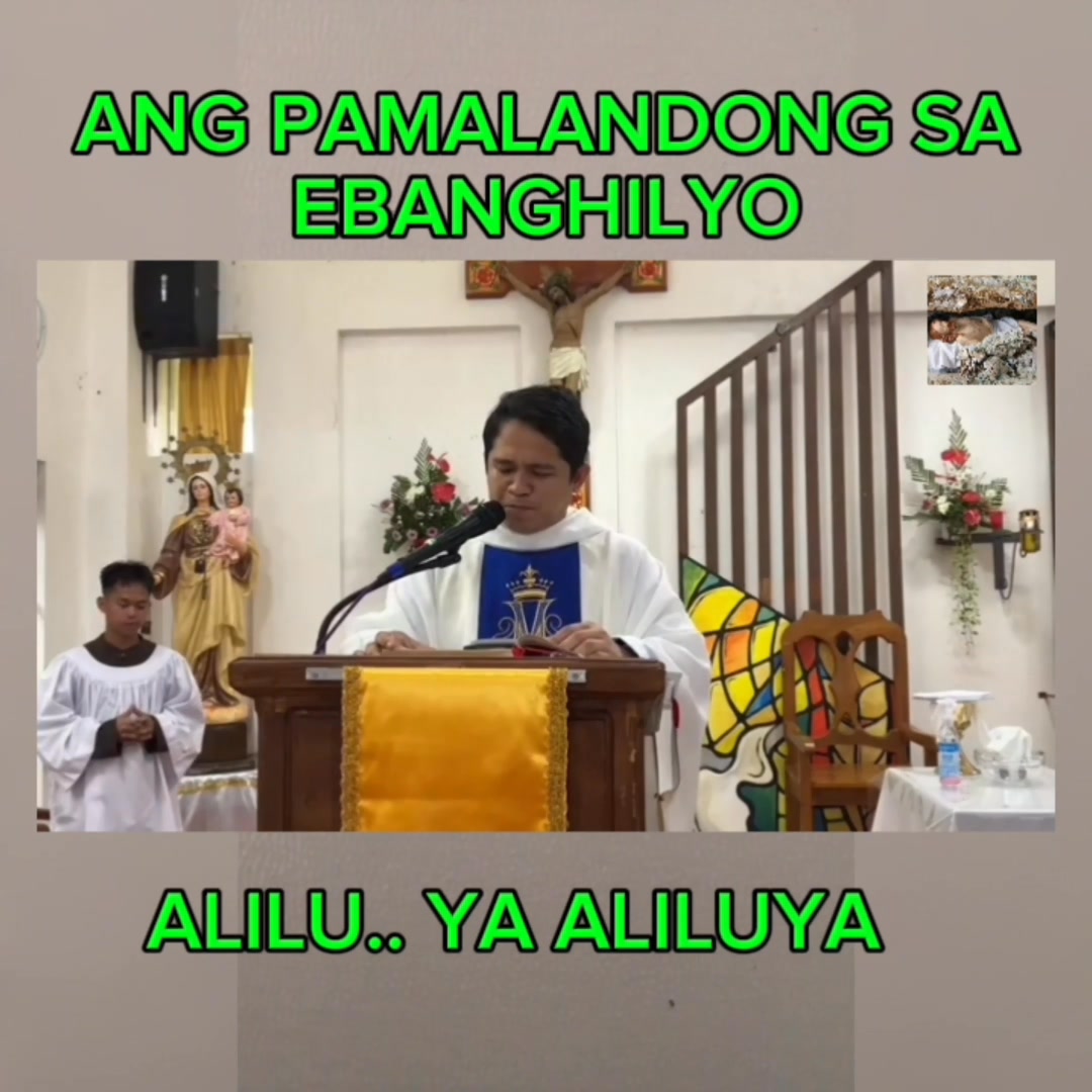 Live mass of Rev fr darwin #catholicorganization | Catholic ...