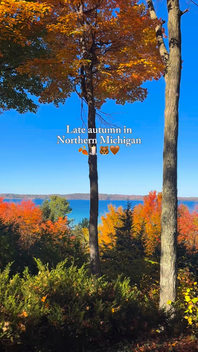 This time of year brings a whole different kind of beauty to Michigan 🍁 ...