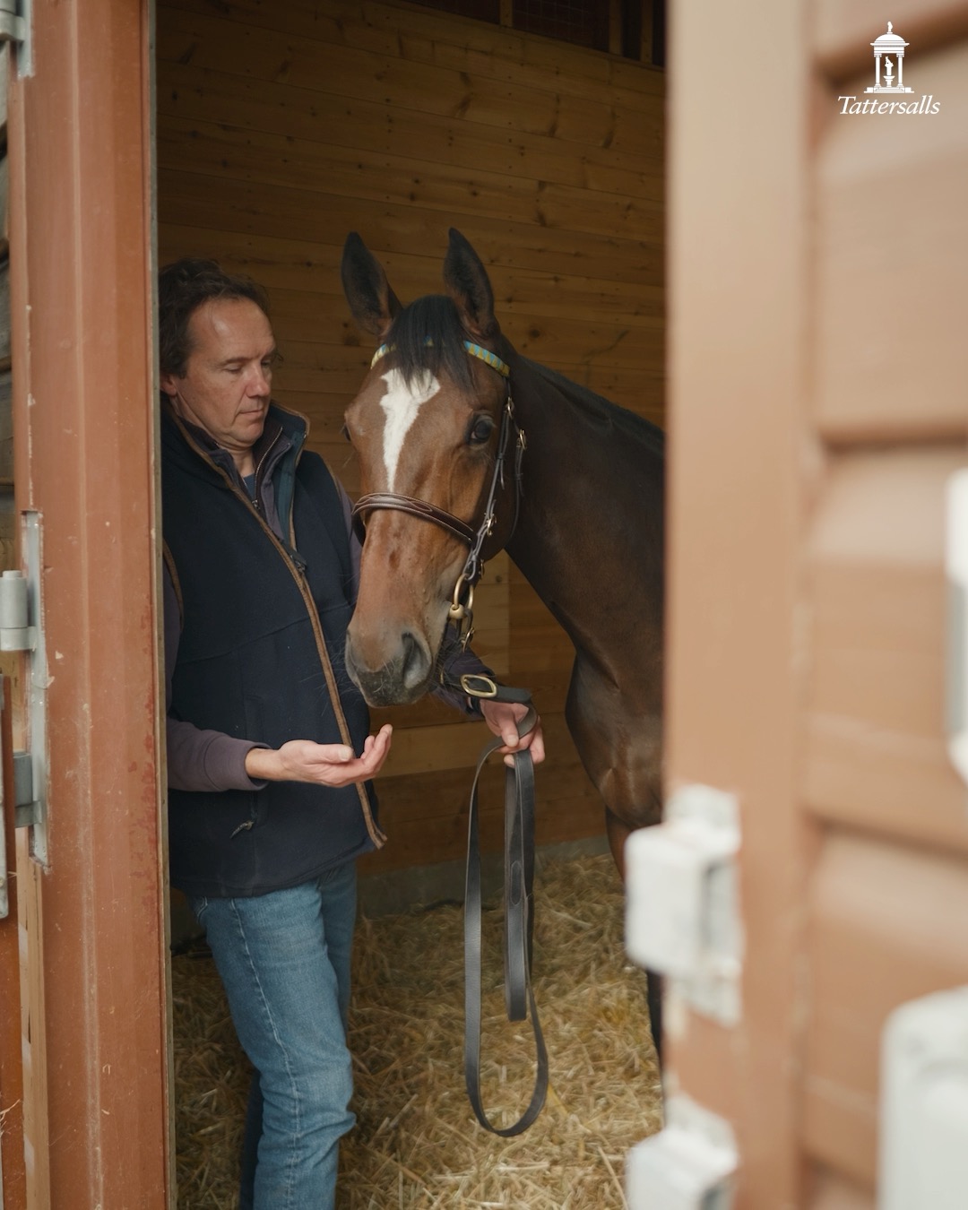 By Frankel out of the Gr.1 winner Wonderful Tonight, Stratford Place ...