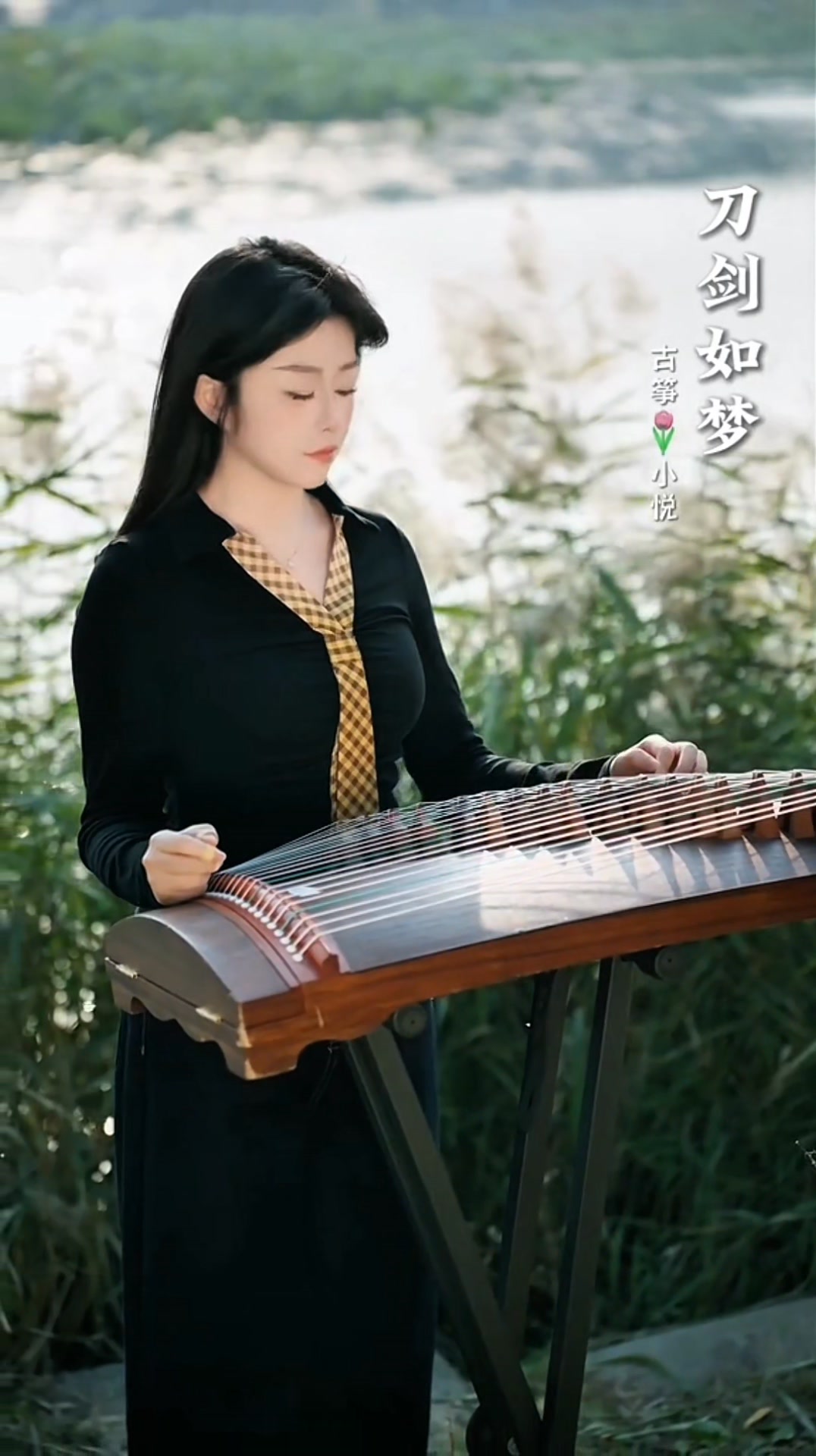 刀剑如梦 - Dao jian ru meng #古筝 #chinesemusic #musicmandarin #instrumental ...