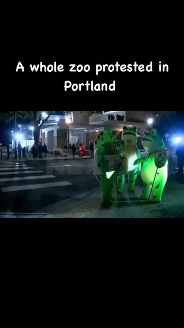 🐸🦒🐘 A Whole Zoo Took to the Streets in Portland In a truly wild twist ...