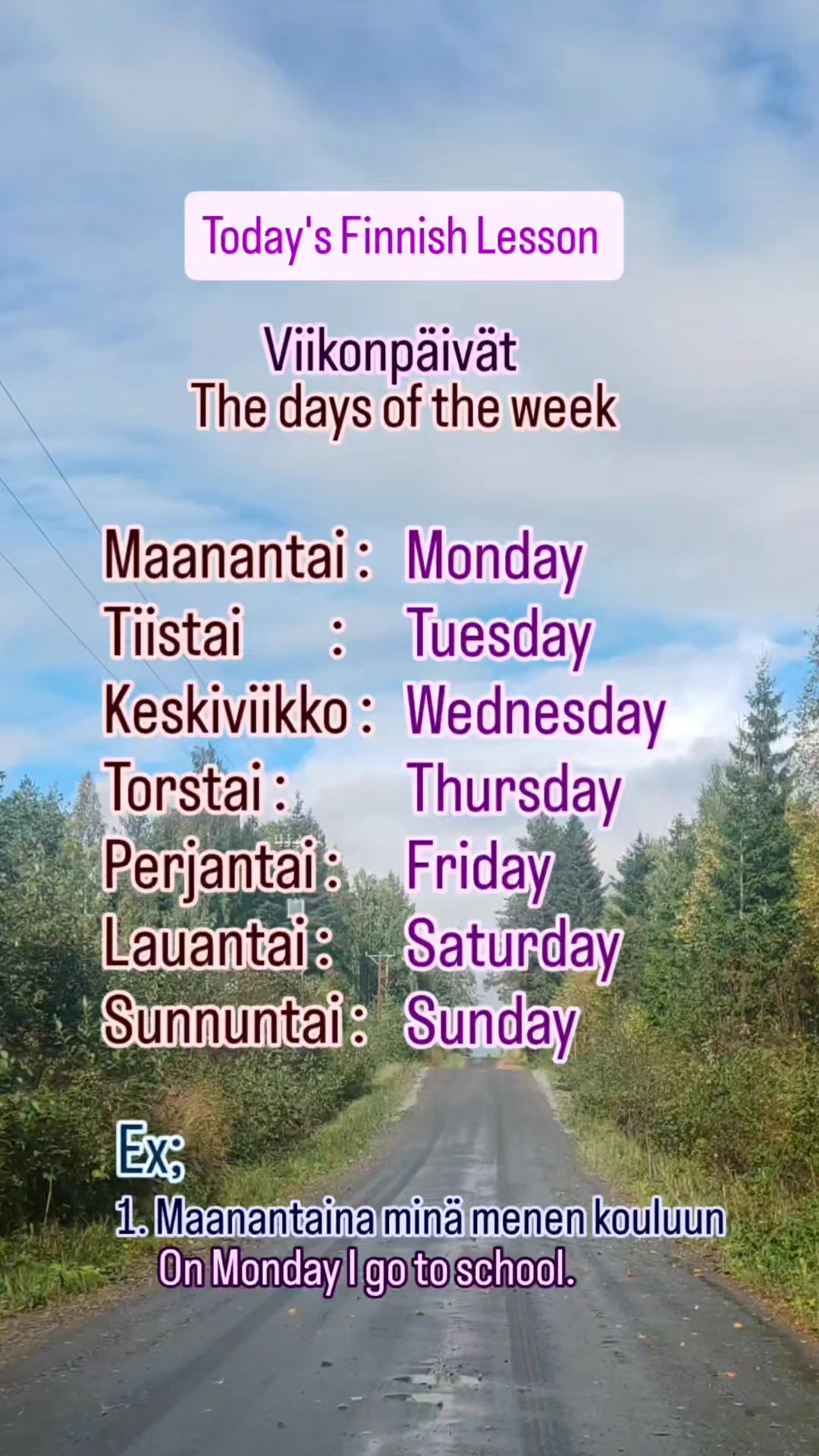 Finnish Lesson #5 ♥️ #learnfinnish #finnishlesson #studyingfinnish ...