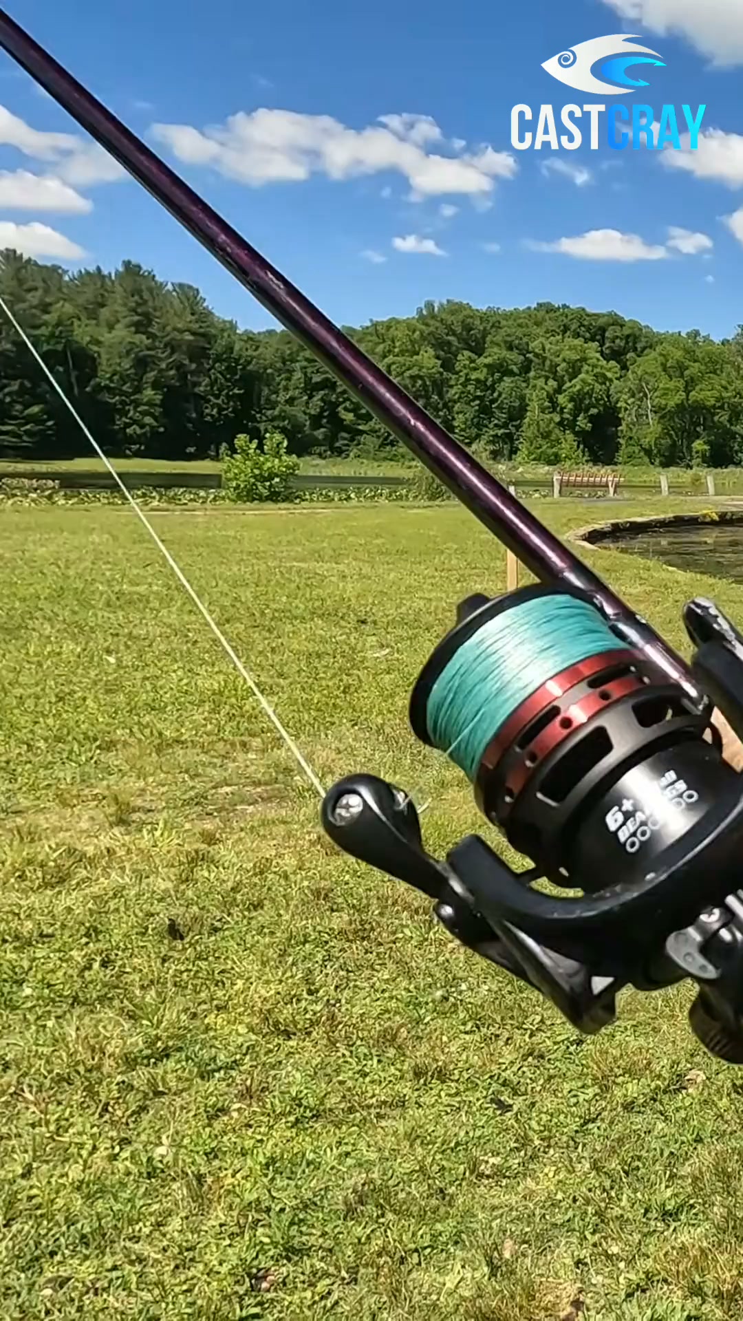 bass tournament lure in 2000 season B.A.S.S. Limited Edition Rush Tango Box For Sale These suspending lures combine a mullet profile and wounded minnow action to entice trophy Trout MirrOlure 20MR-CHBL Catch 2000