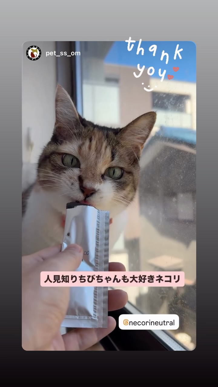 ねこりneco-ri | Saitama-shi Saitama