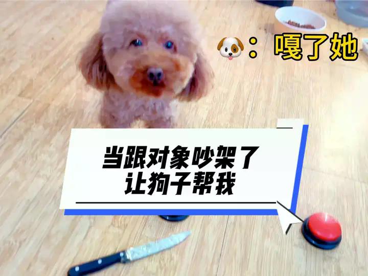当跟对象吵架了 教狗子帮我#狗子成精了 #这狗怎么人模人样的 #看一遍笑一遍 #狗子的迷惑行为 #创作灵感 | 日常撸狗皮皮 | Facebook