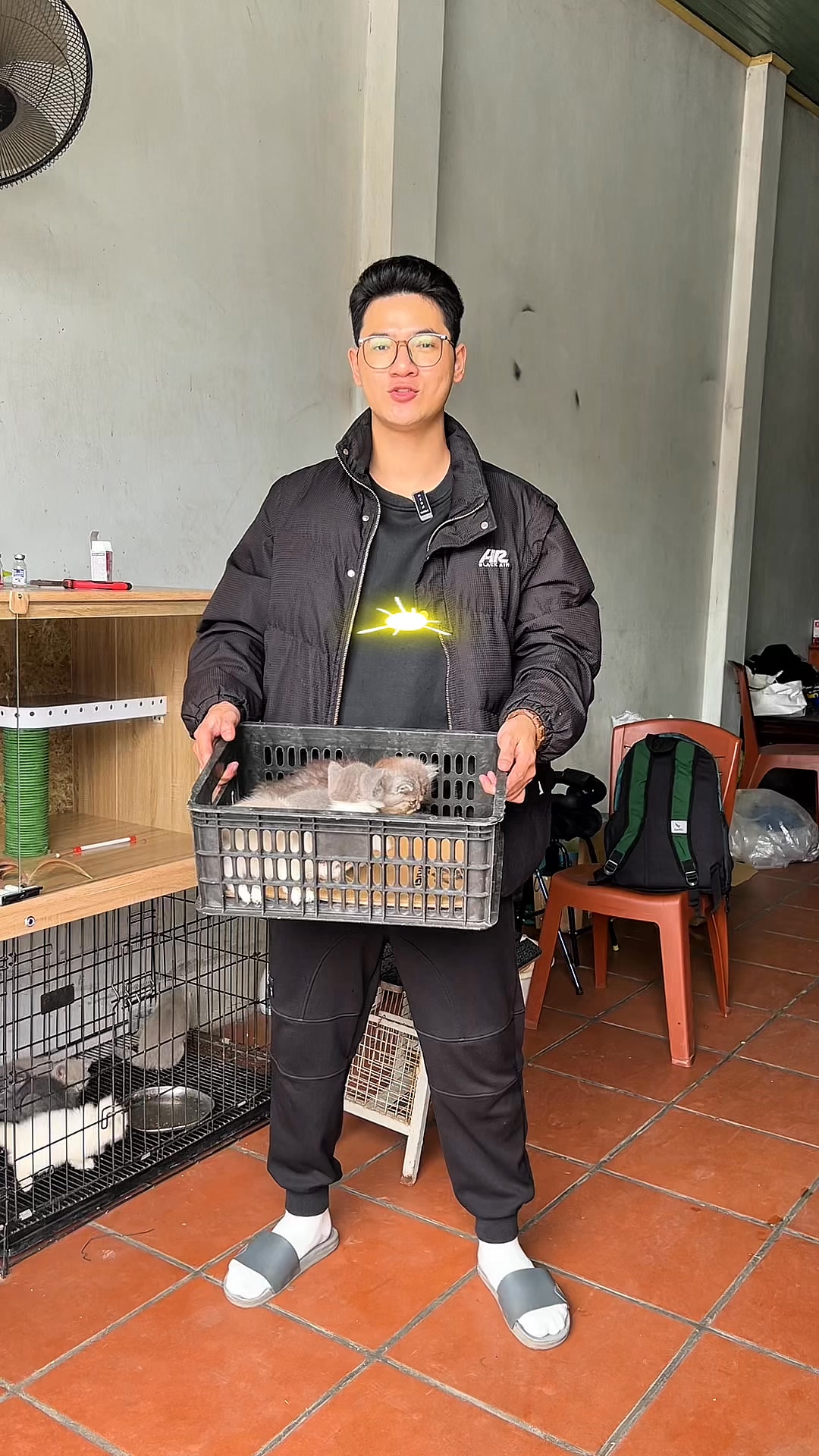 Thủ đô chào đón các e🥰🥰 #meoanhlongngan #meocon #meoxinh | Hai Nhà Mèo ...