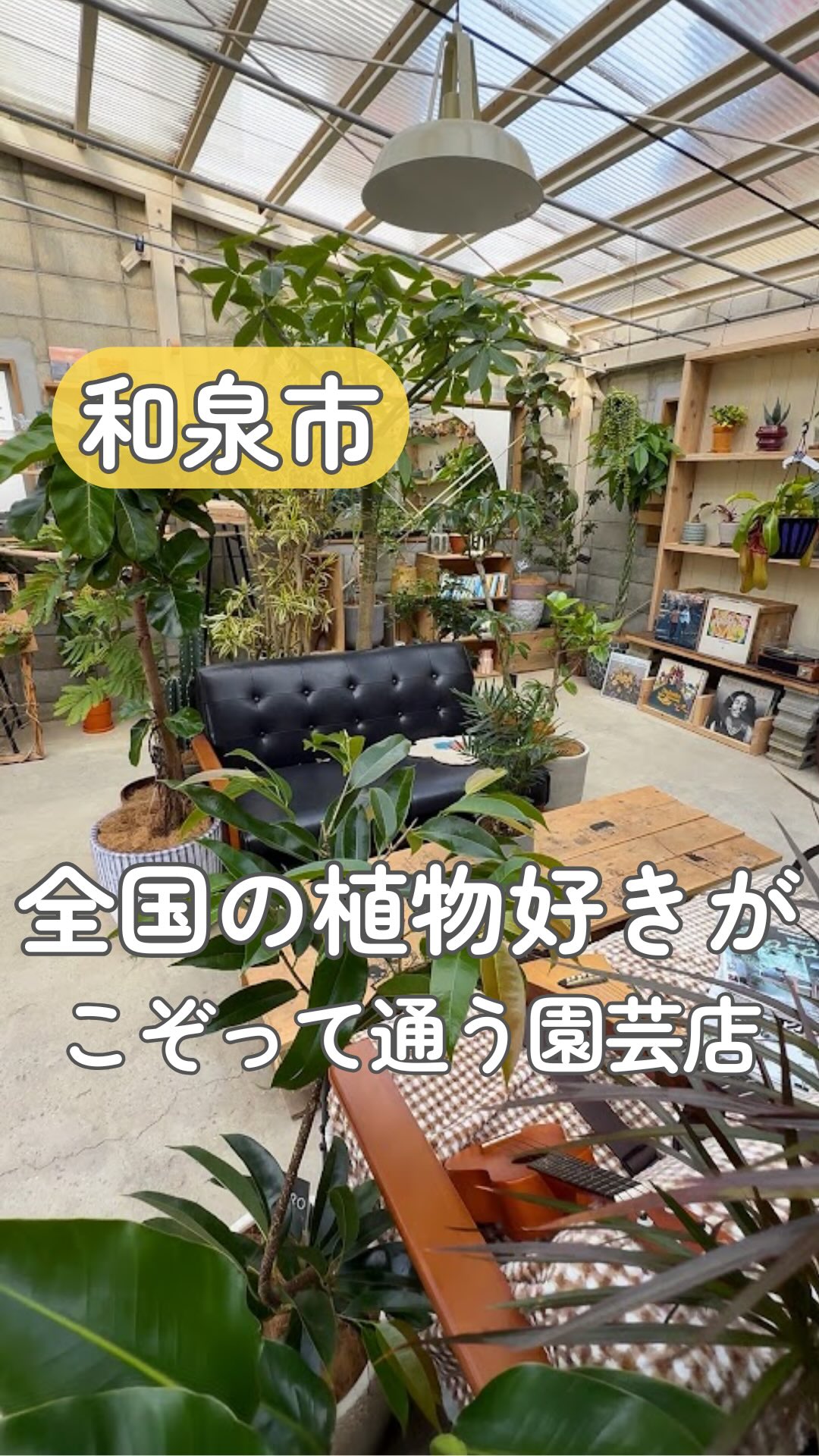 高橋 園芸 和泉 市