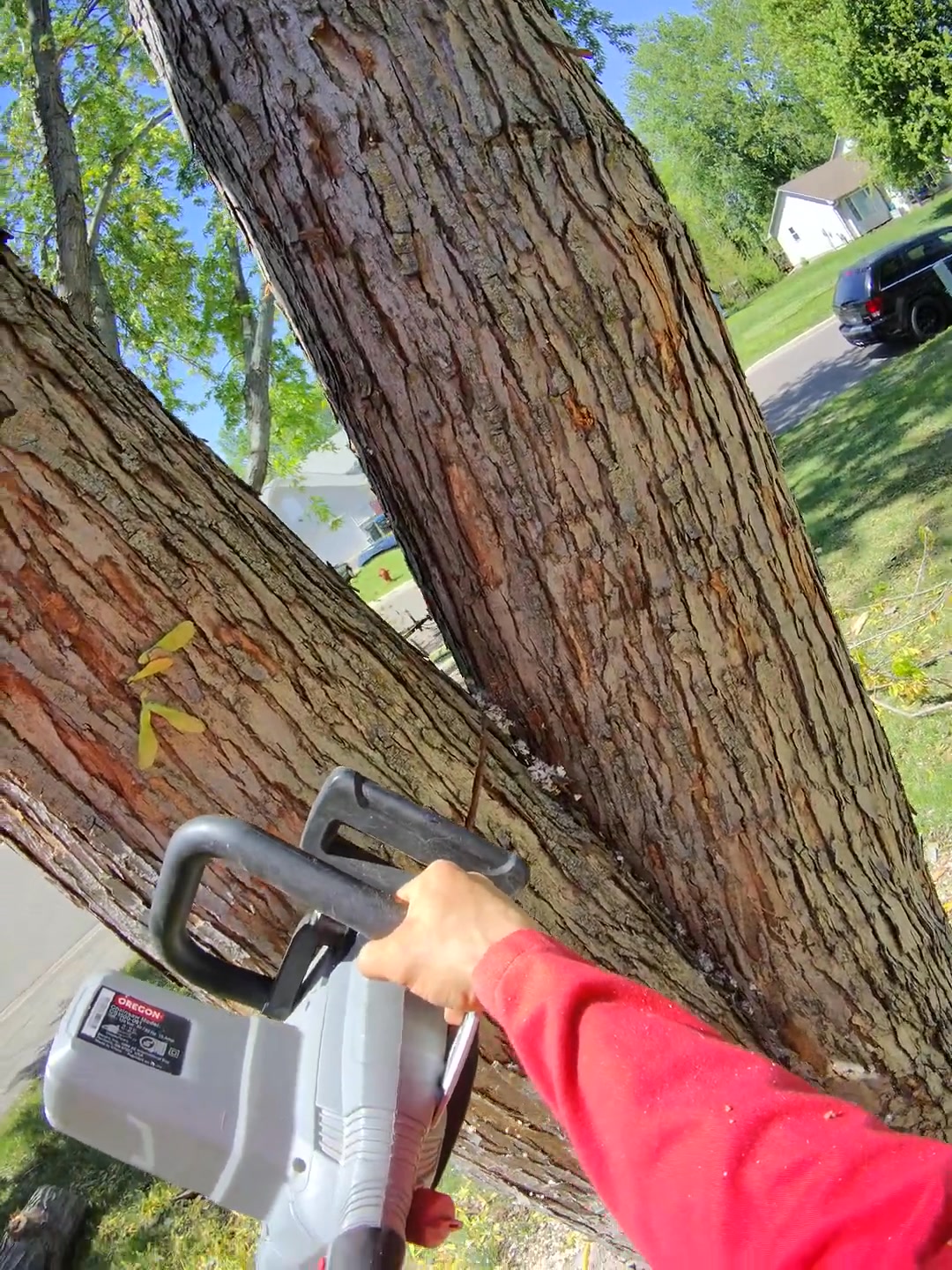 #viralreels #reelsvideo #usareels #treeworks #treeclimbing #treeworker ...