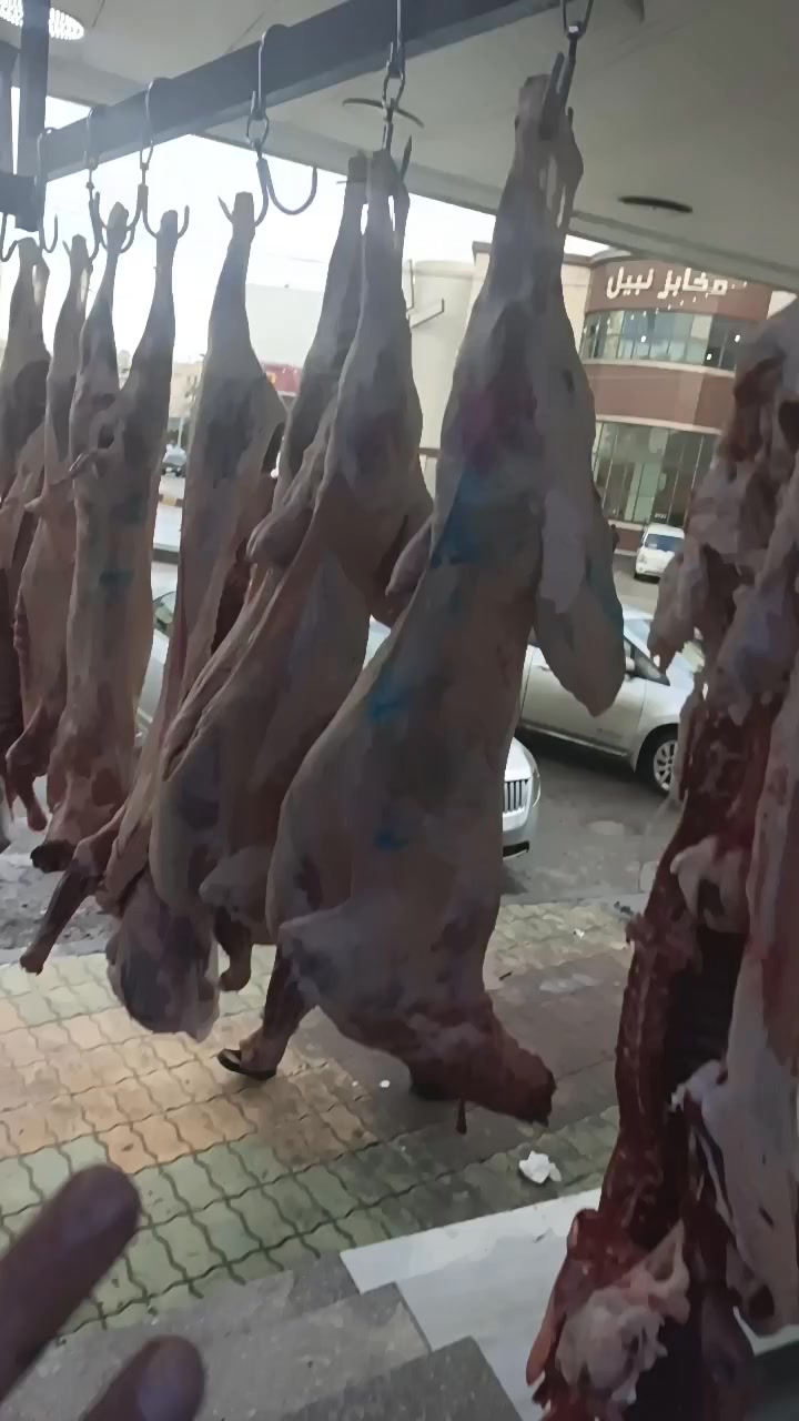 الرمسي وين عناااااا ملحمه البطاينة اربد شارع 30مقابل بوابه مخابز نبيل ...