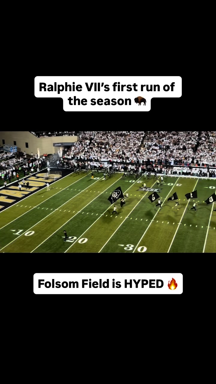 Ralphie is BACK running with the Colorado Buffaloes 🔥 Rate her first ...