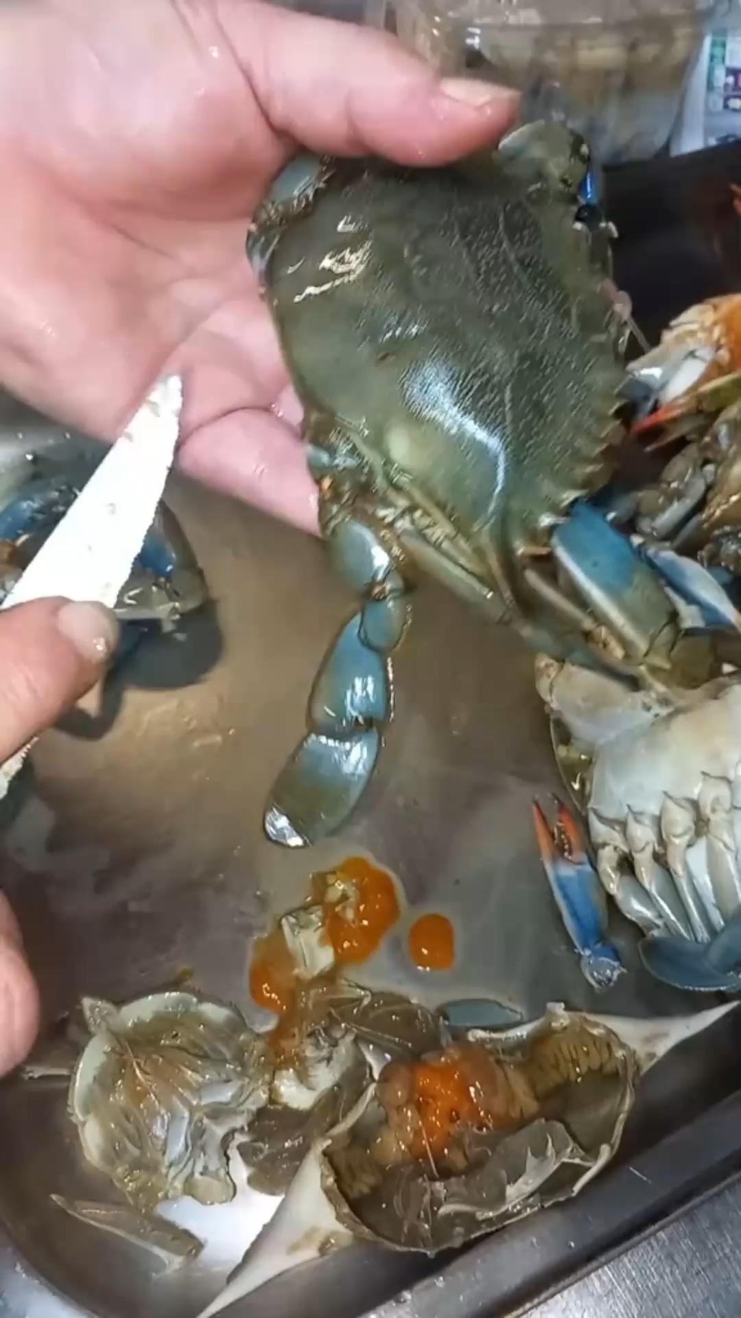 c-mo-limpiar-el-cangrejo-azul-paso-a-paso-para-cocinarlo-truco-f-cil