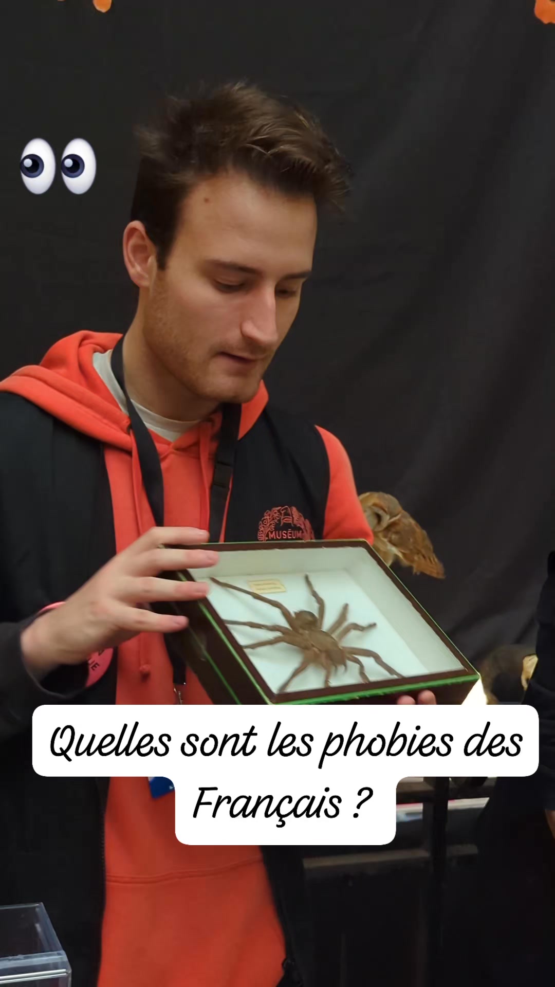 Les araignées sont la phobie numéro 1 des Français 🕷️. Cette phobie est ...