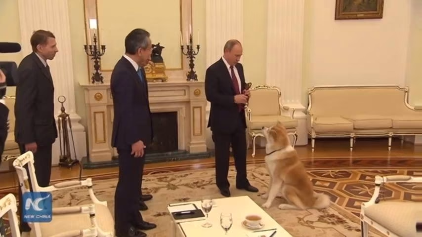 Russian President Vladimir Putin showed his pet dog Yume, a gift from ...