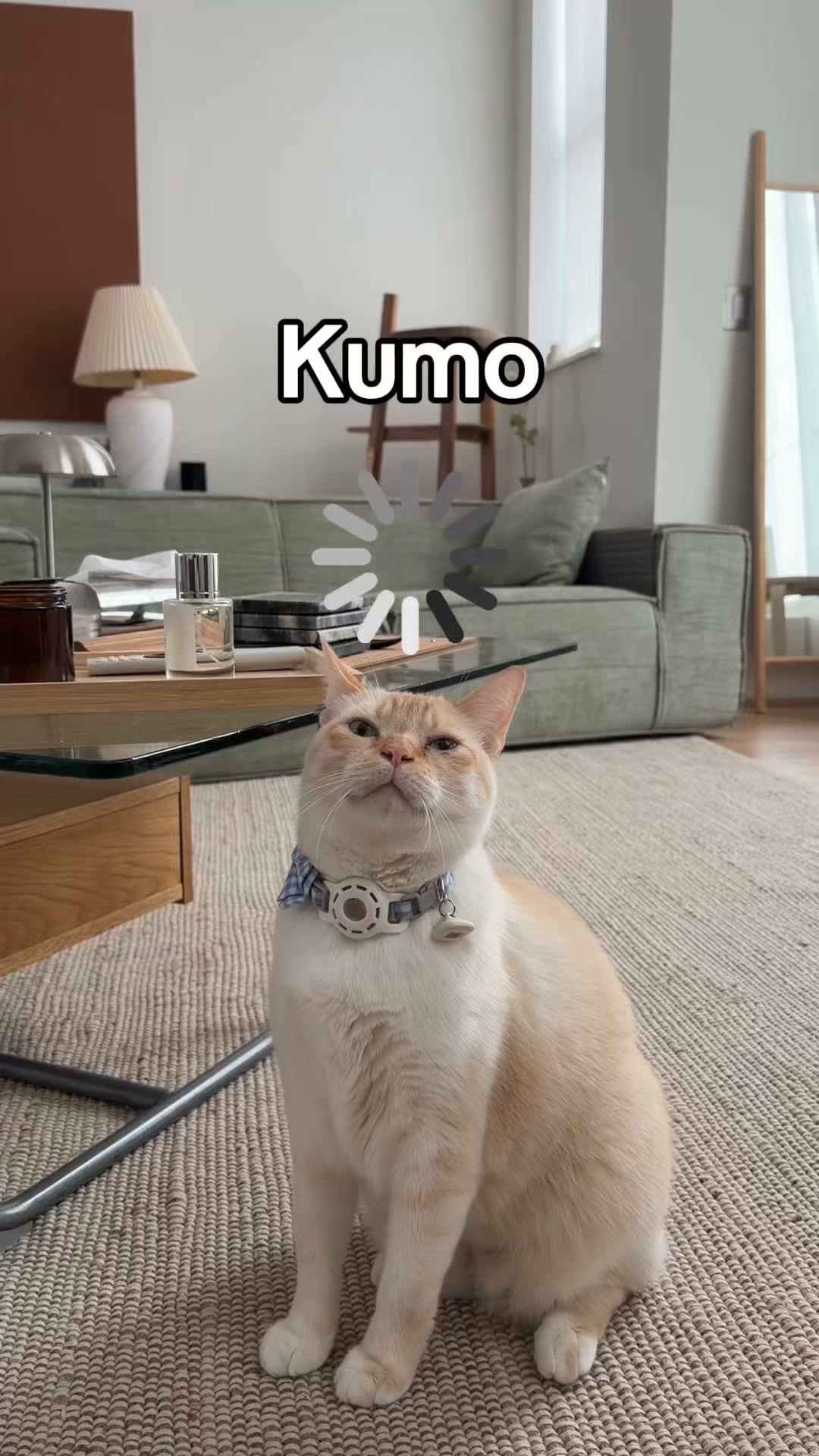 Got a multi-cat household? Then you know the struggle is fur-real