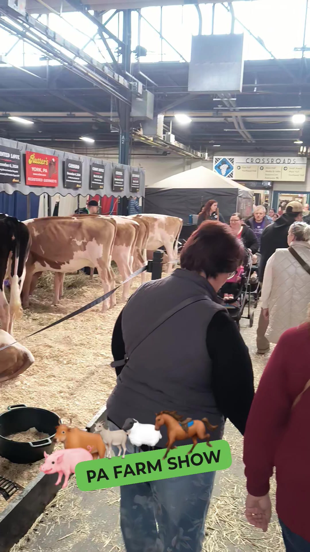Spending the day exploring the Pennsylvania Farm Show as part of a ...
