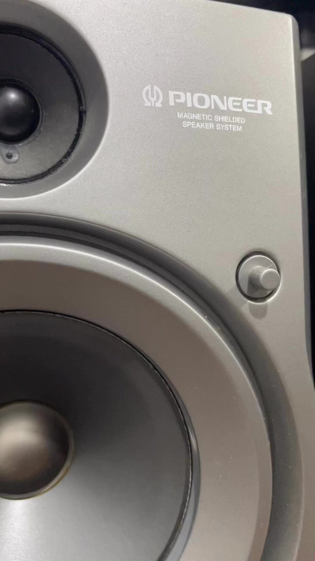 Pioneer S-X55 100w speaker