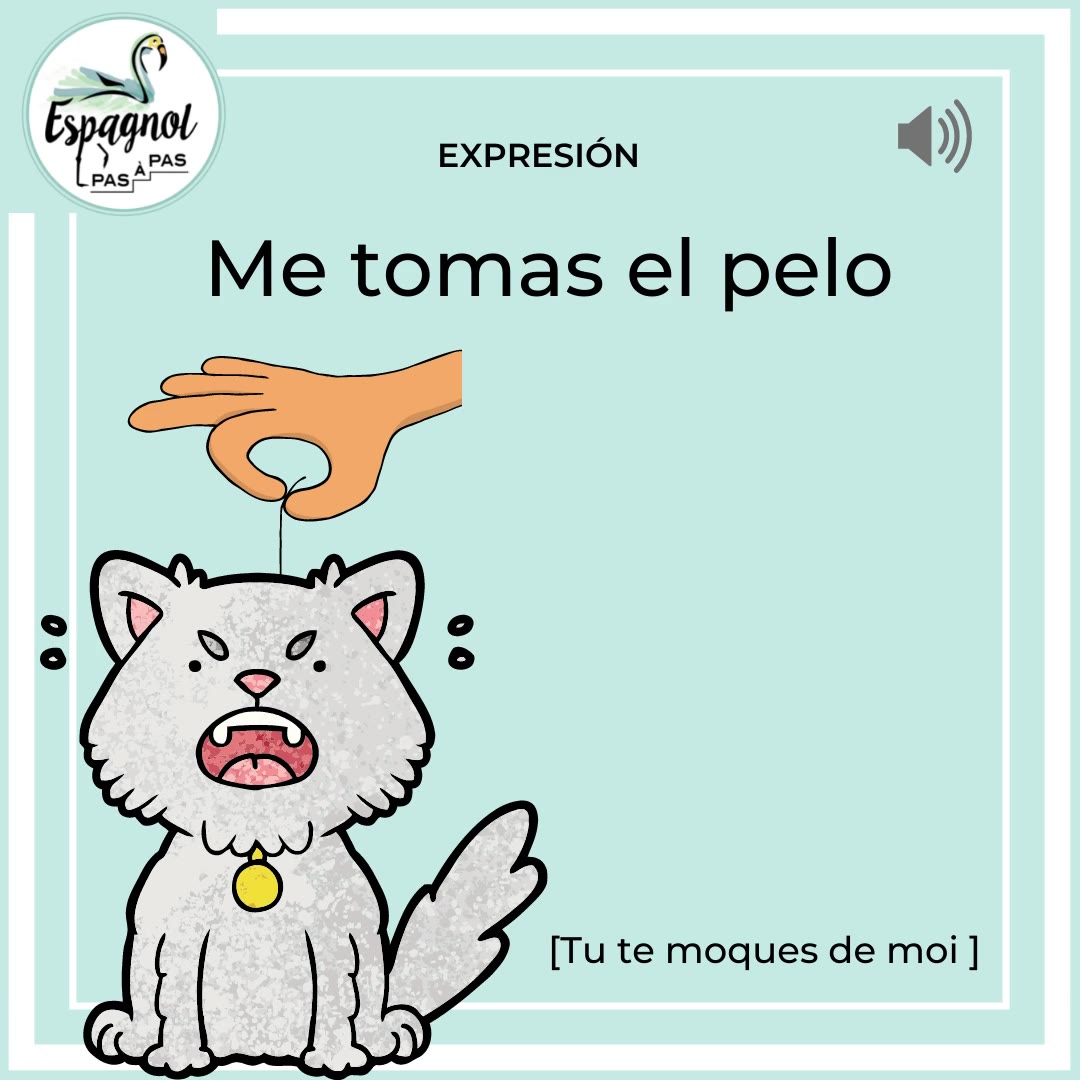 Tu Te Moque De Moi En Anglais
