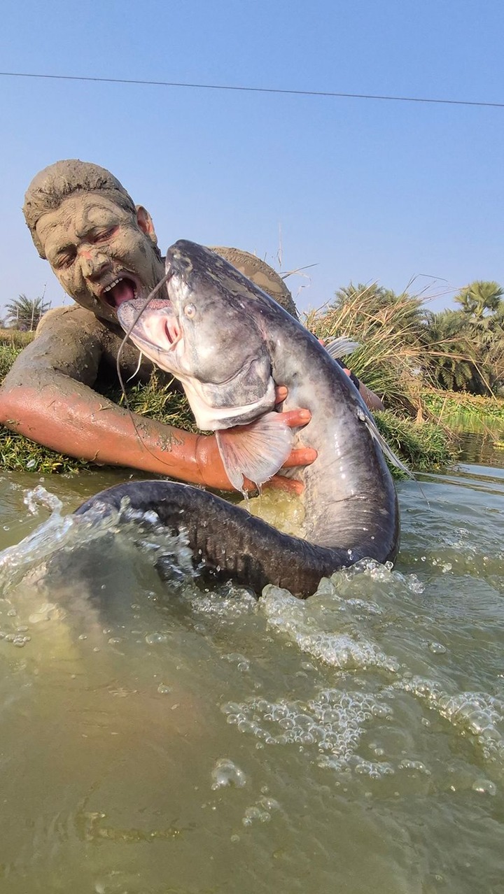 Amazing fish catching video #fish #fishing #video #viral | Fisherman ...