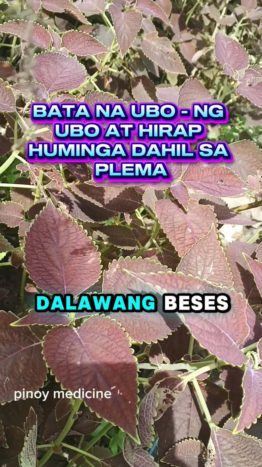 Ubo Ng ubo at hirap huminga dahil sa Plema #highlightseveryonefollowers ...