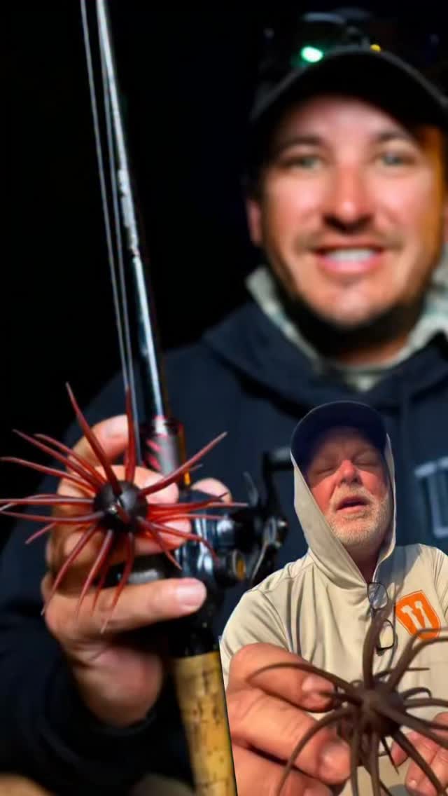The Hideup Coike 17mm and Full Cast are a floating Creature Bait