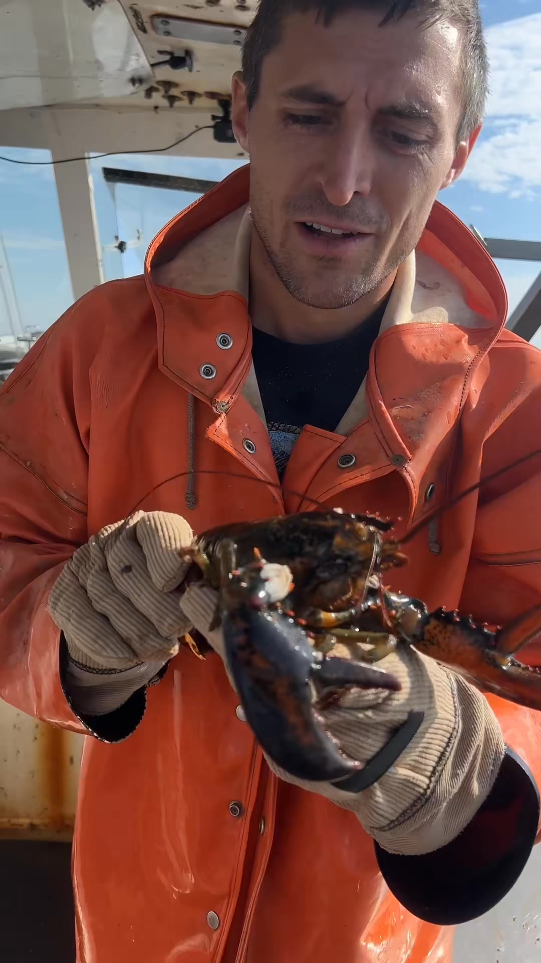Welcome to the claw spa, how can I help you? #maine #oceanlife #lobster ...