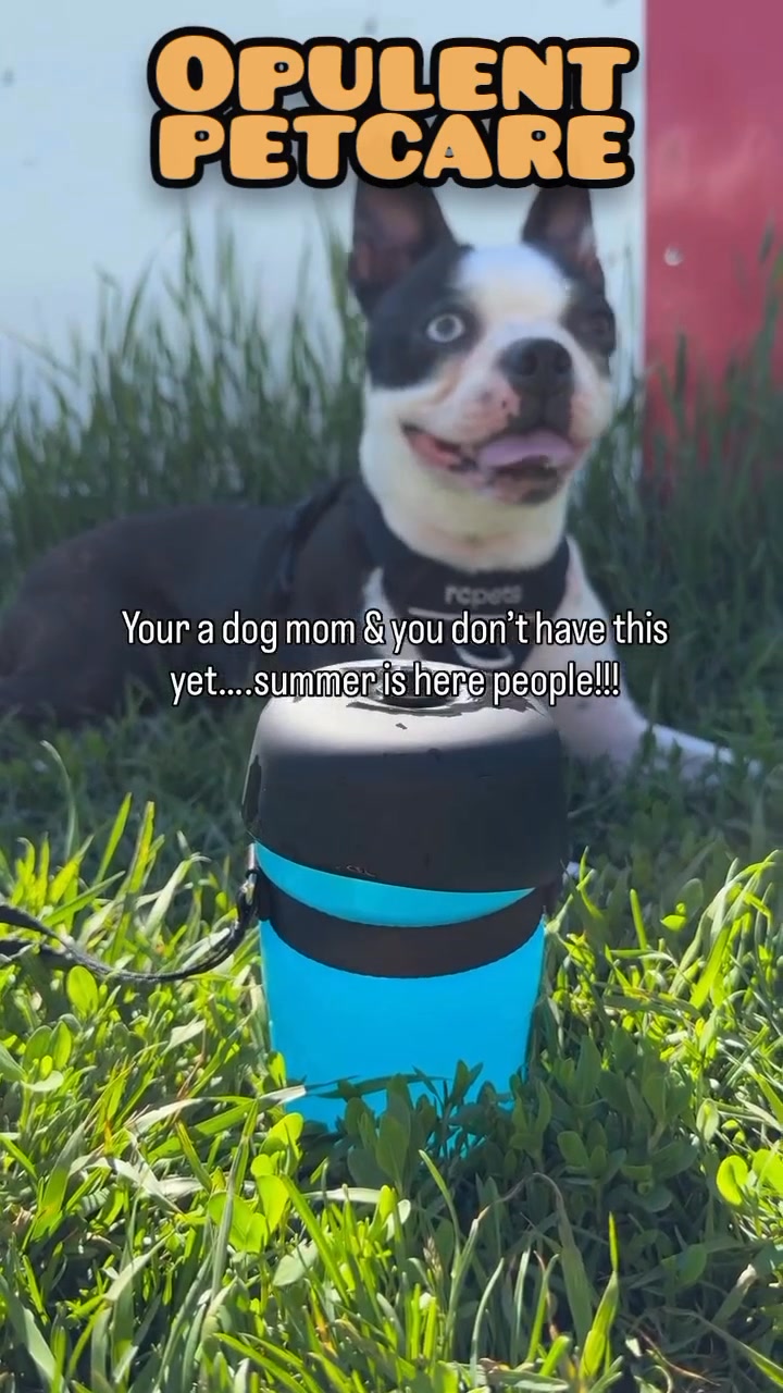 Make every walk and trip easier for your pup 🐾 The Portable Dog
