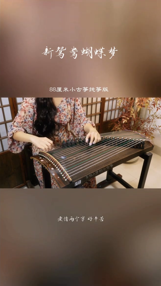 旅行古箏88公分21弦| 知音箏樂藝術Zheng Arts | Facebook