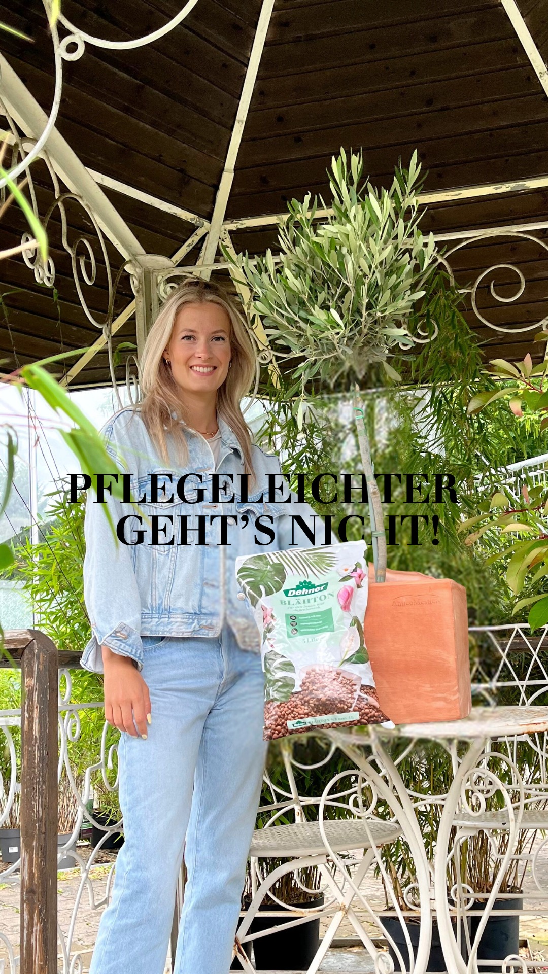 Mediterranes Feeling im Handumdrehen! Einfach Blähton auf die Pflanze im Übertopf geben, im nächsten Jahr umtopfen, fertig! 🥰, #dehner #meindehner #Blähton | Dehner