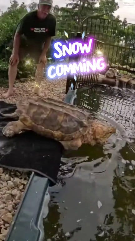 First snow cause's proublems at Blackwater Turtle Refuge for Rusty Reed ...