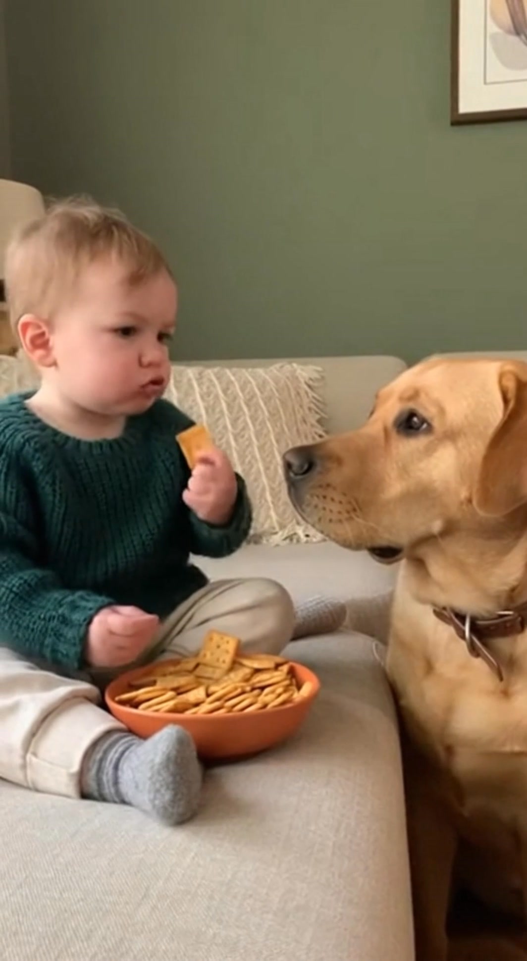 Green Sweater & The Snack Guard #Sora2 #veo3viral #fbviralpost2025シ ...