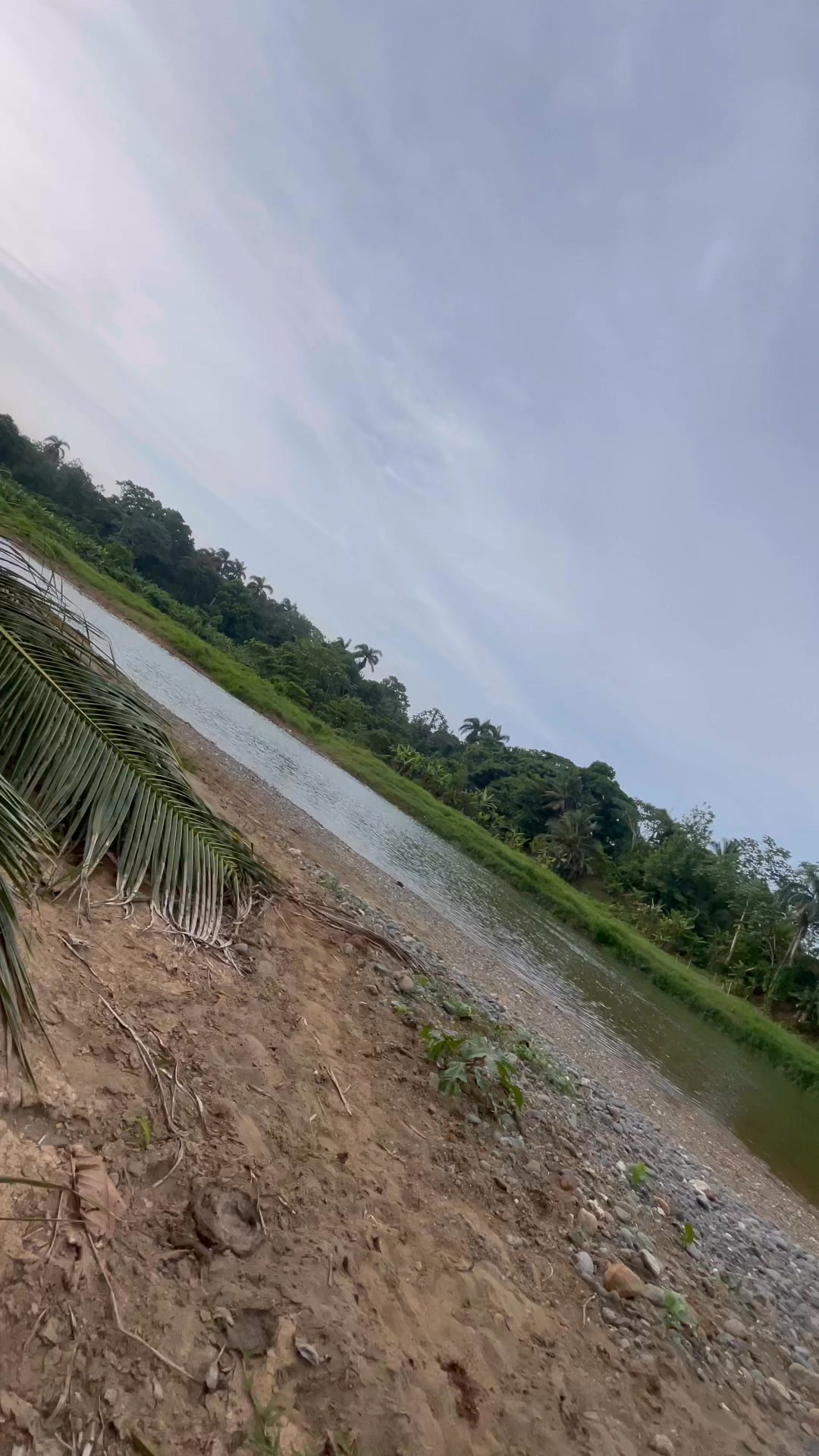 NAGUA Por Dentro | Nagua