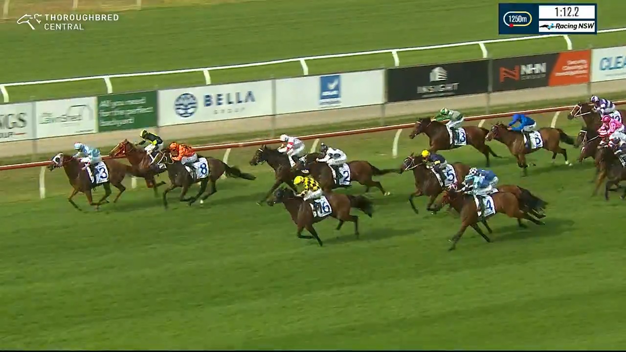 COAL CRUSHER wins the Newcastle Herald Hunter - again! Just like in ...