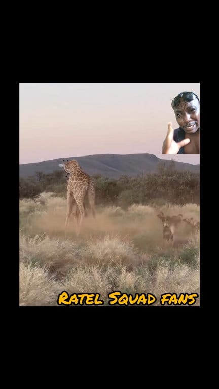 #fblifestyle | Ratel Sqard fans | Facebook