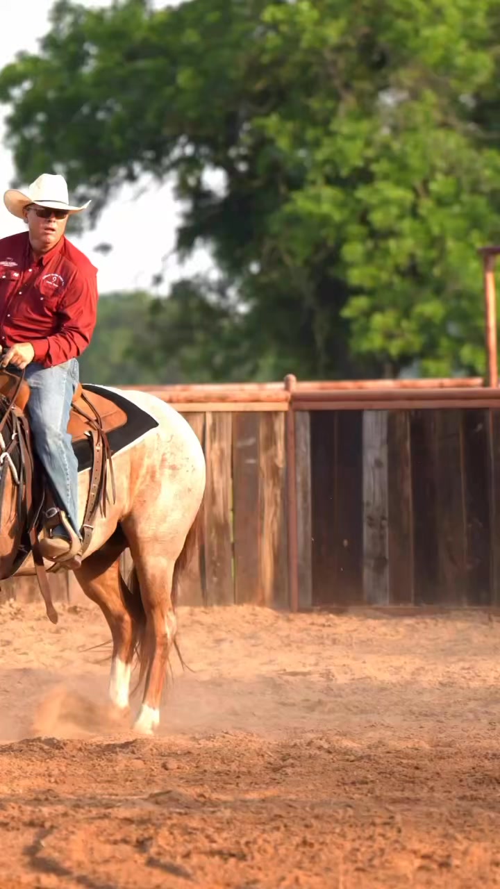 COW. HORSE. “John Wayne” SELLS Aug 2nd League of Legends Invitational ...