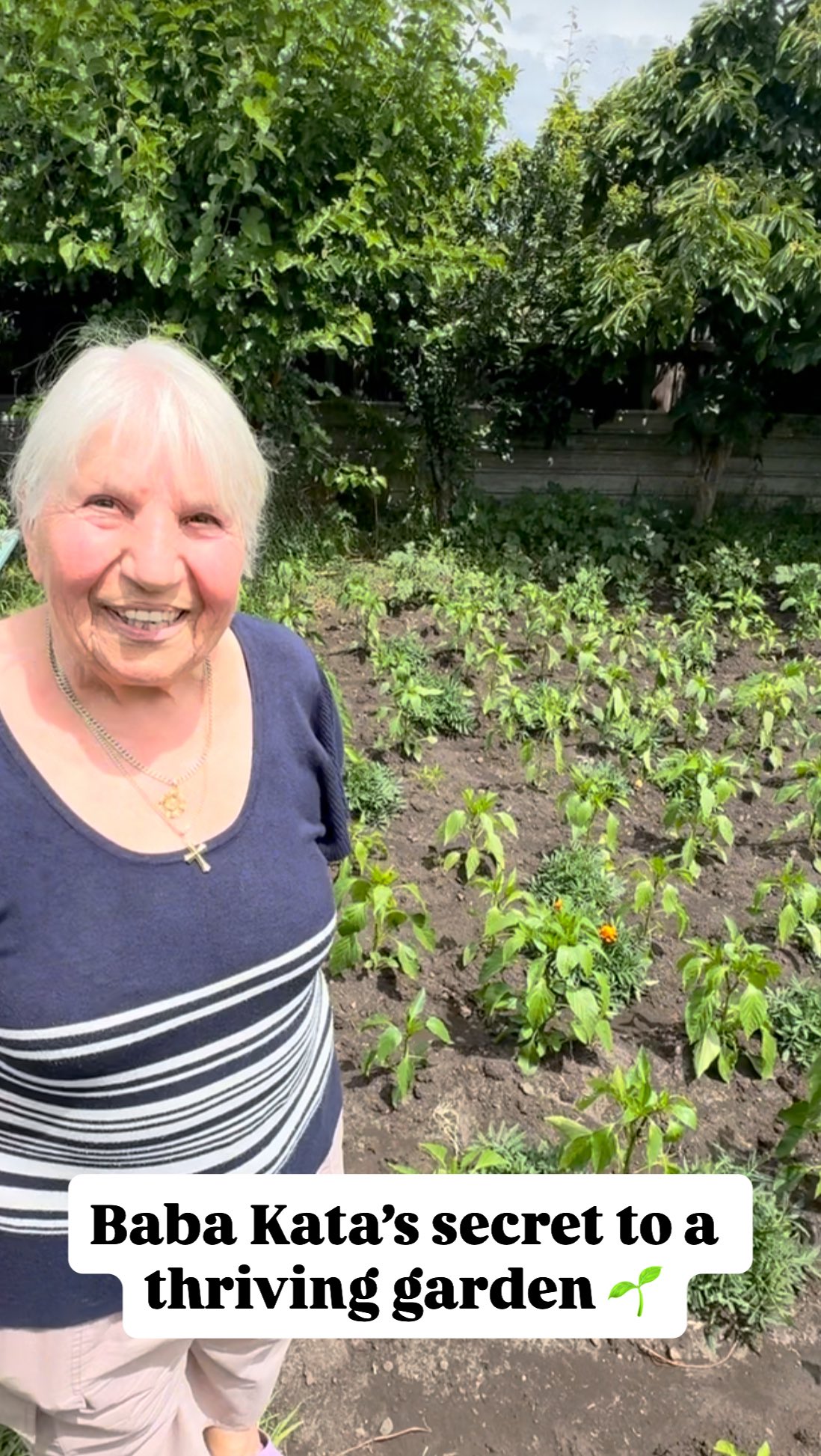 Baba kata shares her secret to a thriving garden 🌶️🍅 Hint: it’s not ...