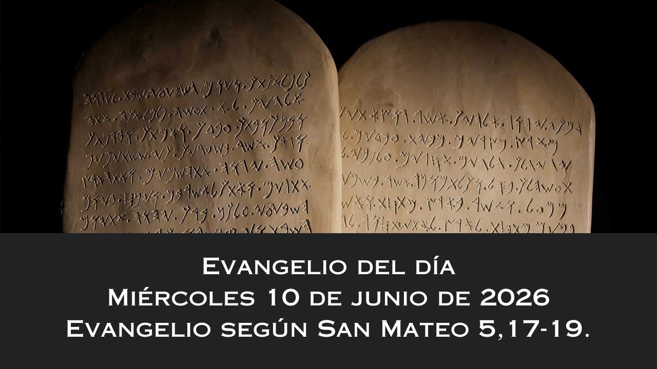 Evangelio del miércoles 10 de junio de 2026 | Padre Pedro Brassesco