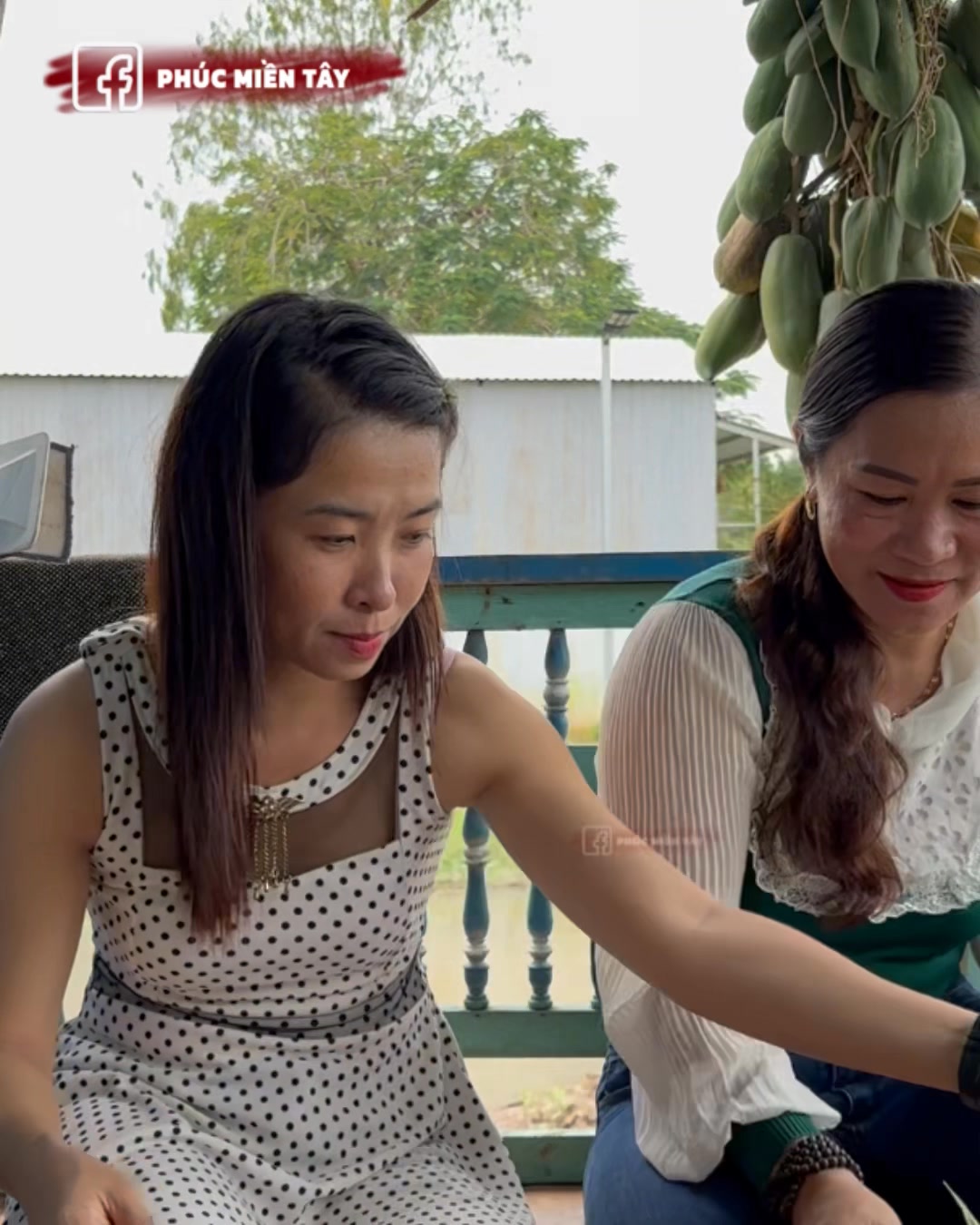 SuKa nấu lẩu siêu to đãi Hoàng Linh #phucmintay #suka | Phúc Râu TV ...