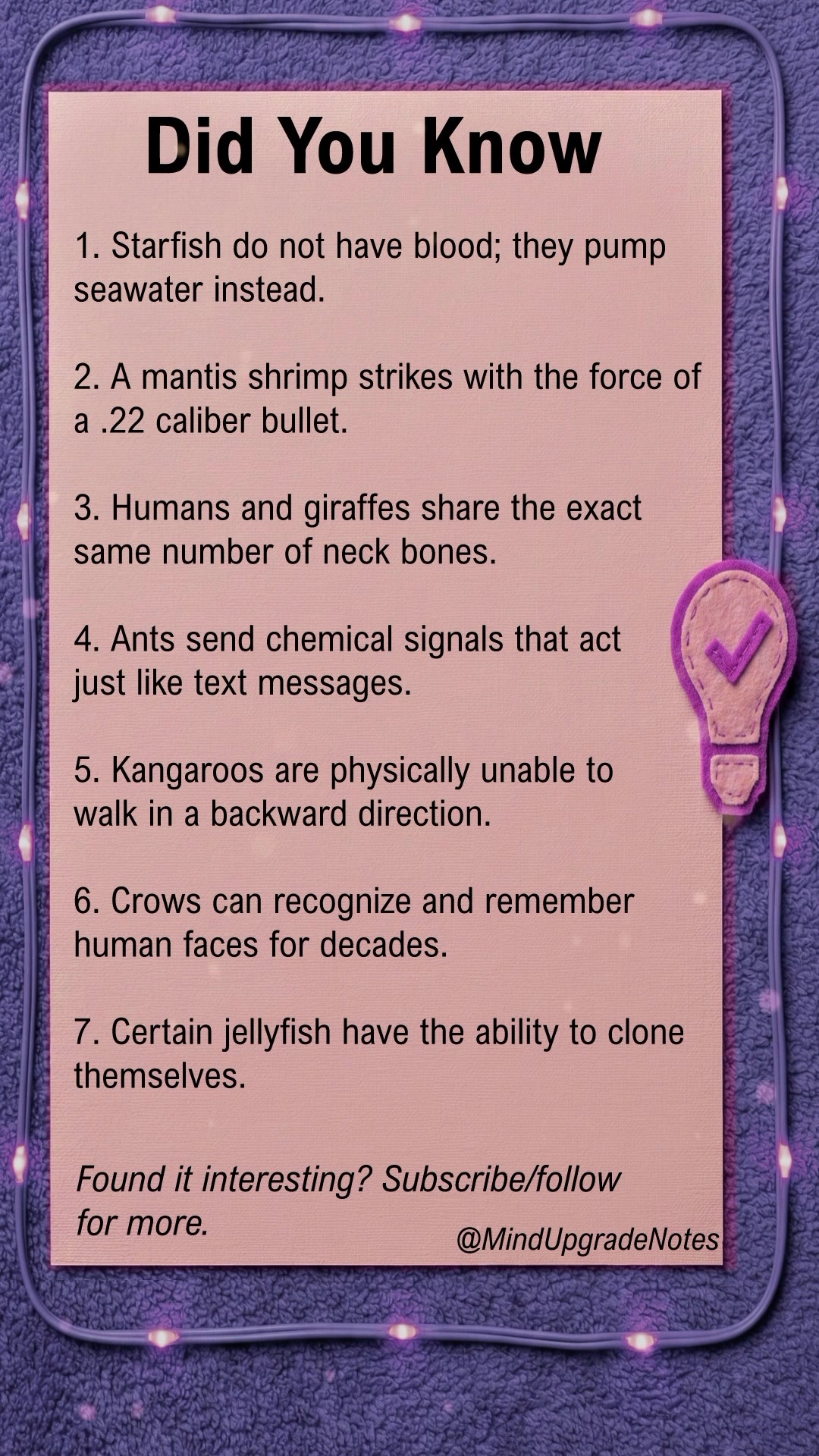 Entertain us. What the weirdest nature fact you know?