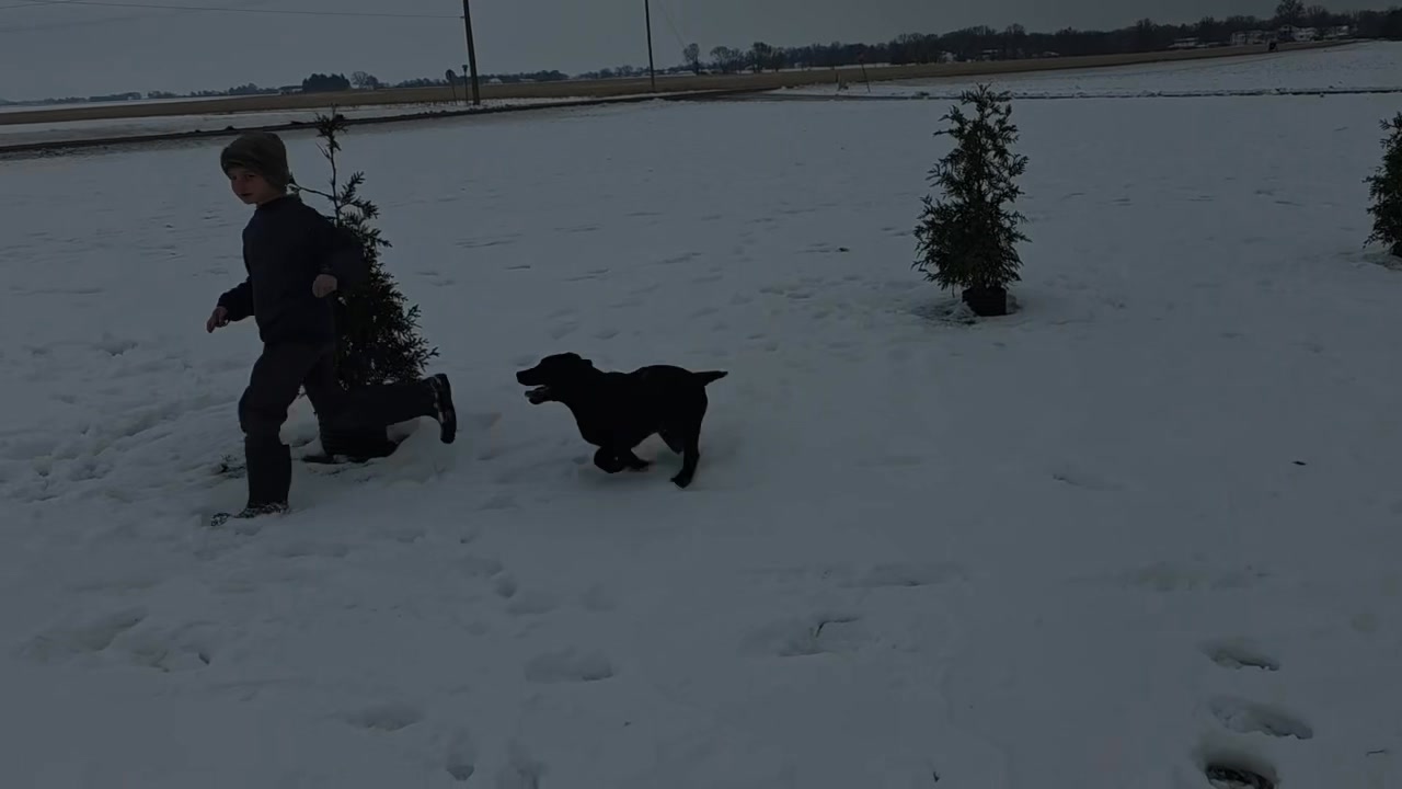 There’s nothing as much fun as playing in the snow with a good ...