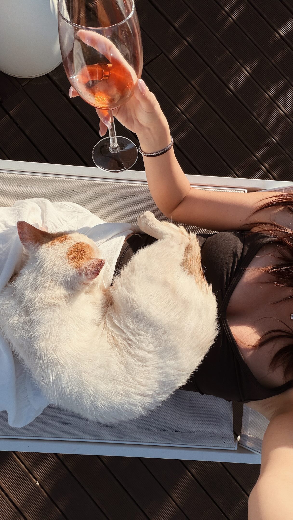 Tara Michelle (@TaraMichelle) • Facebook