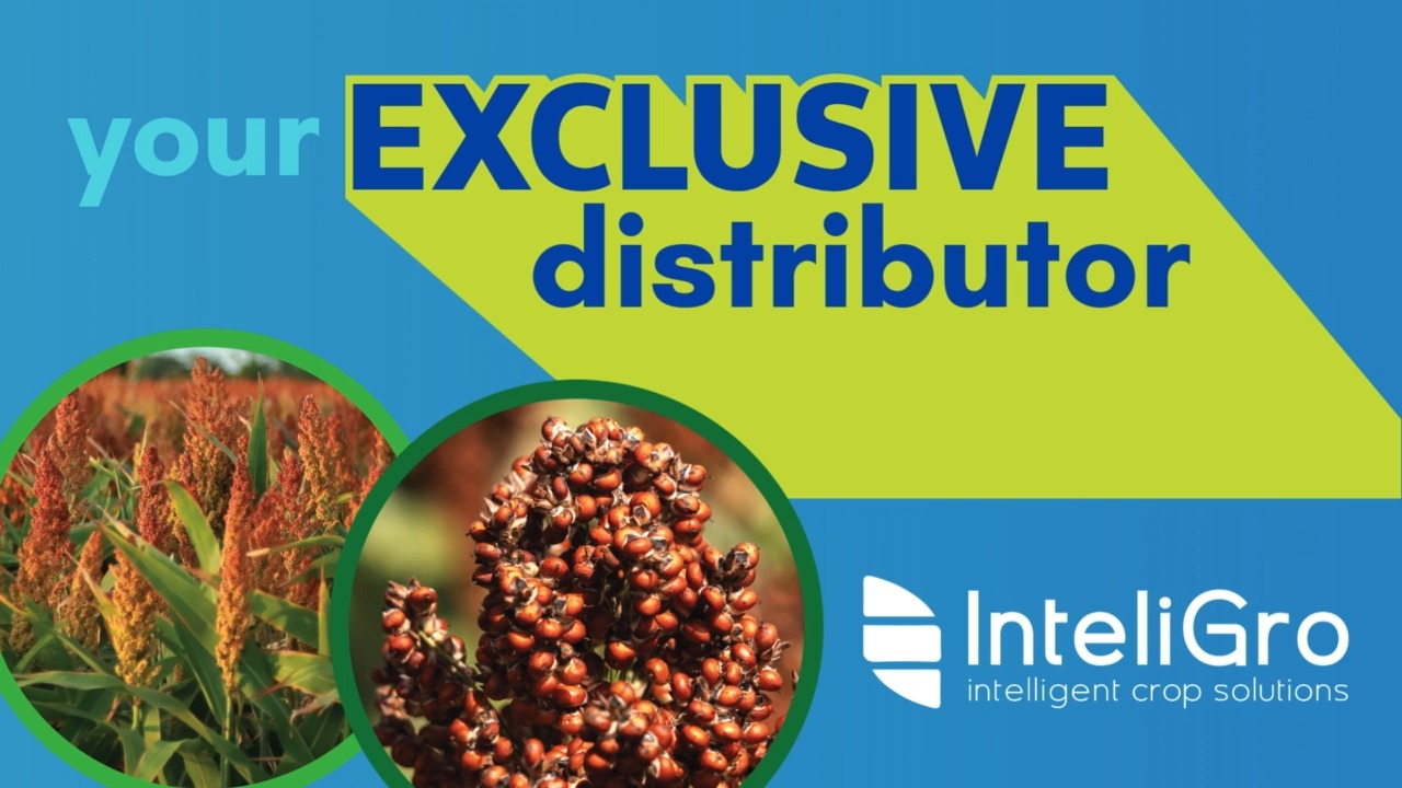 Contact your InteliGro seed specialist for more information on MR ...