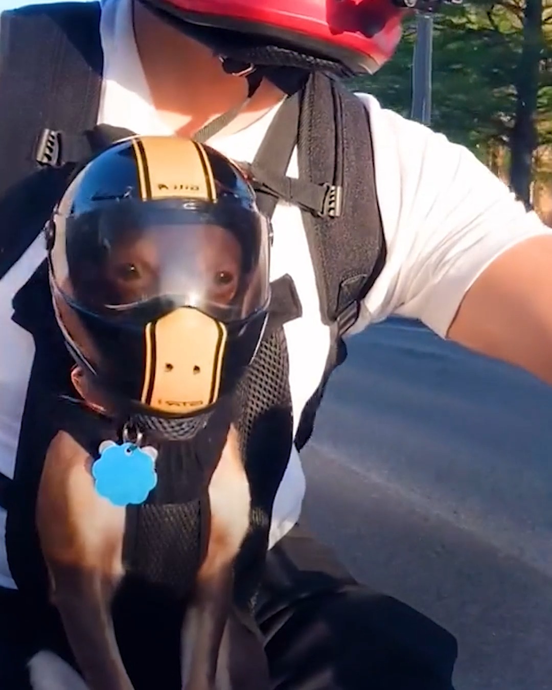 cuddle team leader motorcycle helmet x xotic tech Cover Cartoon Fluffy Plush Set Suitable for Battery Bike Motorcycle Racing Full Helmets for Girls and Boys Gift with Keychain (Alien) : Automotive Designed as a DOT approved low profile biker helmet I spent just under a