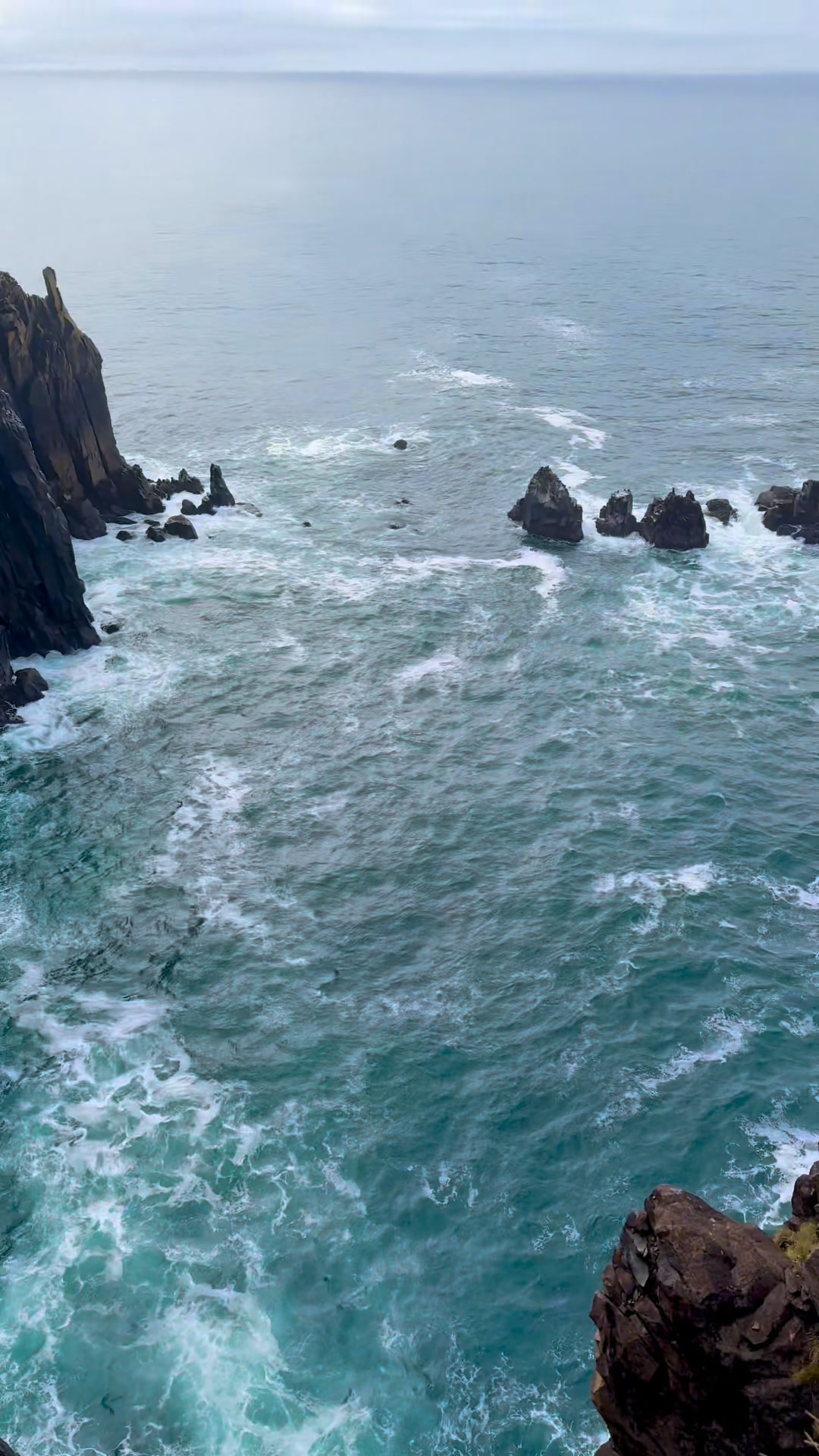 The rock cliffs of Oswald West State Park are absolutely amazing. # ...
