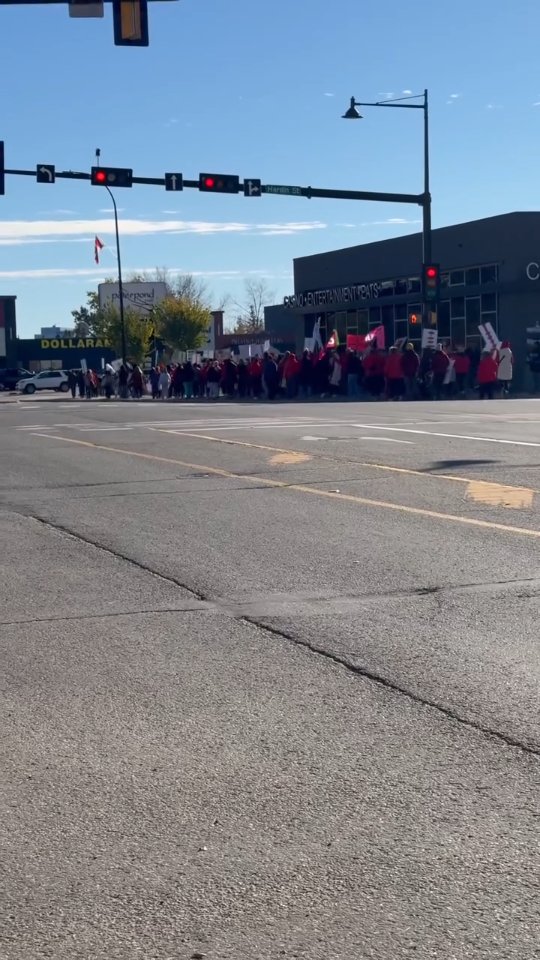 📚 What’s New with the Teachers’ Strike? 🎥 Footage from the Solidarity ...