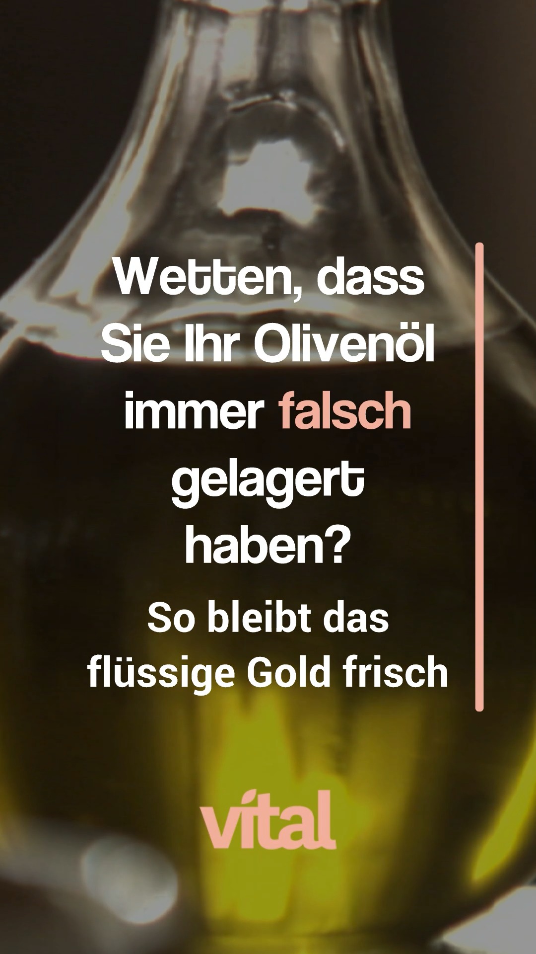 ab welchem alter 24 zoll fahrrad BIKESTAR Kinderfahrrad für Mädchen und Jungen 9 Jahre | Kinderrad Urban Jungle | für Kinder Türkis & Berry Süßer Tier-Brillenständer Aus Holz Spielen & Klettern Schließung:gleichschließend AAL0006