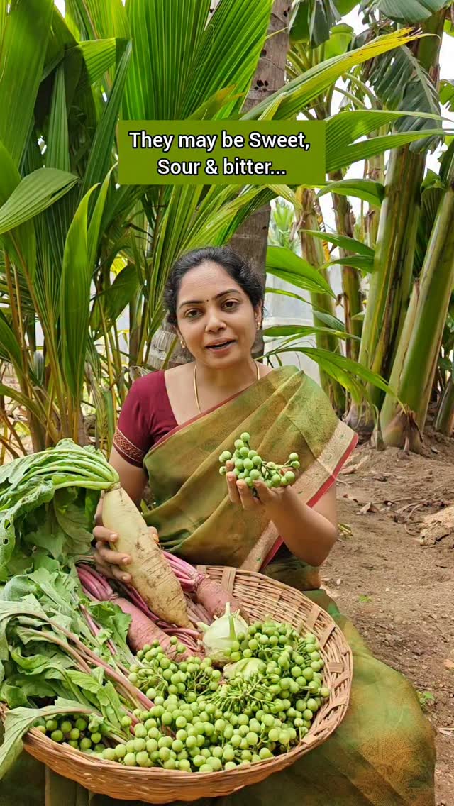 Let's Grow Good Food🙏 Vegetable garden is a must have in everybody's ...