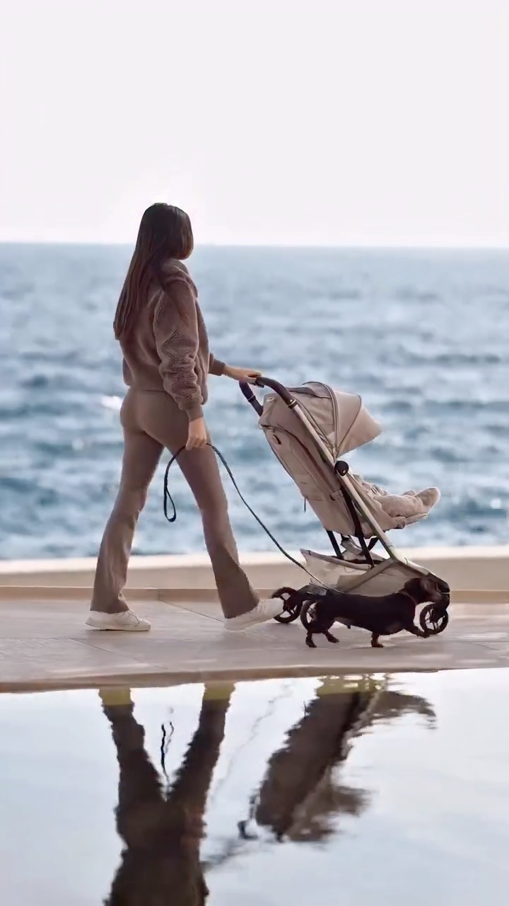 uppababy nuna stroller Vista V3 + PIPA Series Travel System Chloé + Faye mini red drum Size:EU M / Asian L Size Car Seat Highlights